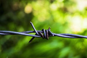 barbed-wire-819010_1280